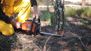 Best Soil Testing and Treatment  in Leeds, AL